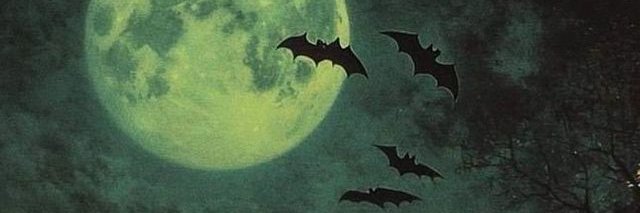 EssaEverafter's profile banner image