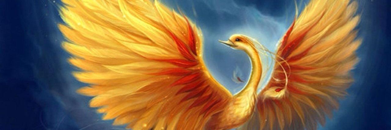 BurningPhoenixK's profile banner image