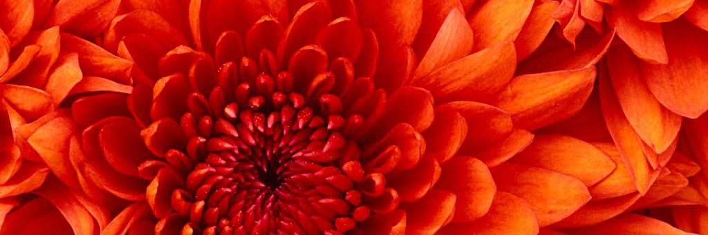 KenzlieeQ's profile banner image