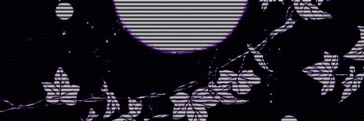 Sgva_Zoe's profile banner image
