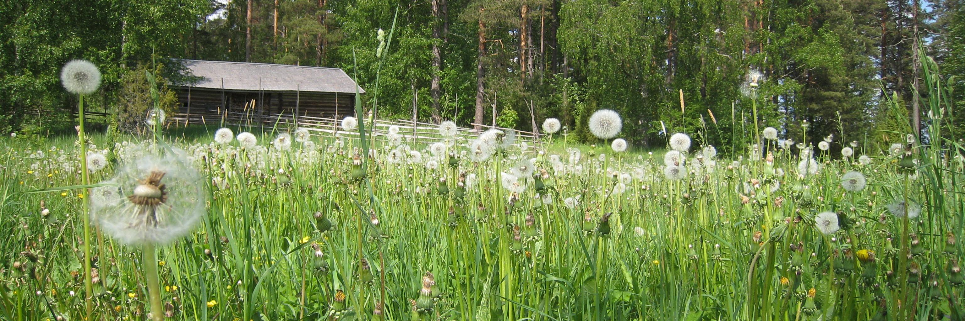 erarenki's profile banner image