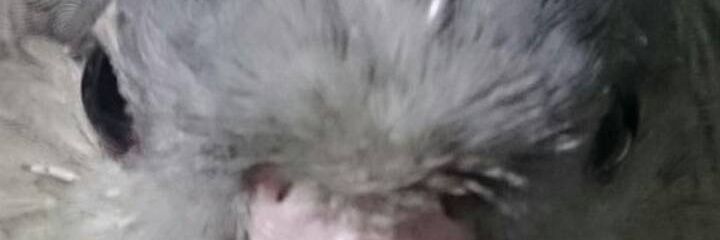 jetTnkl's profile banner image