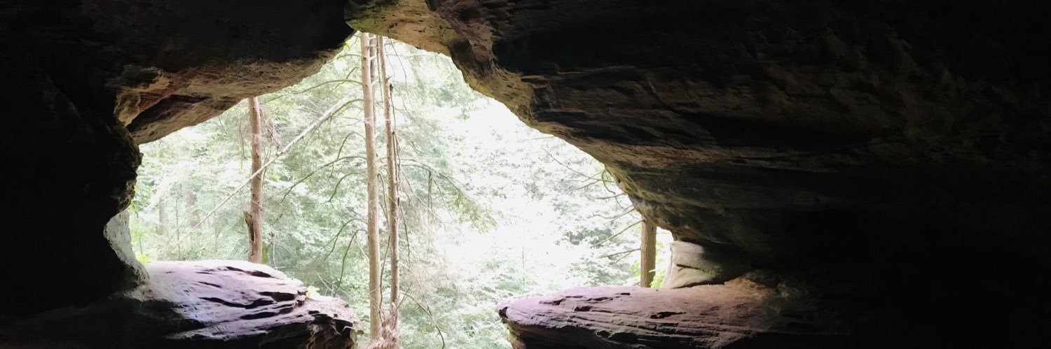 Larry Kowalski banner