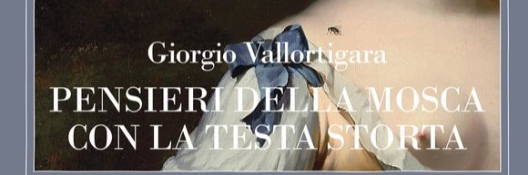 Giorgio Vallortigara's banner