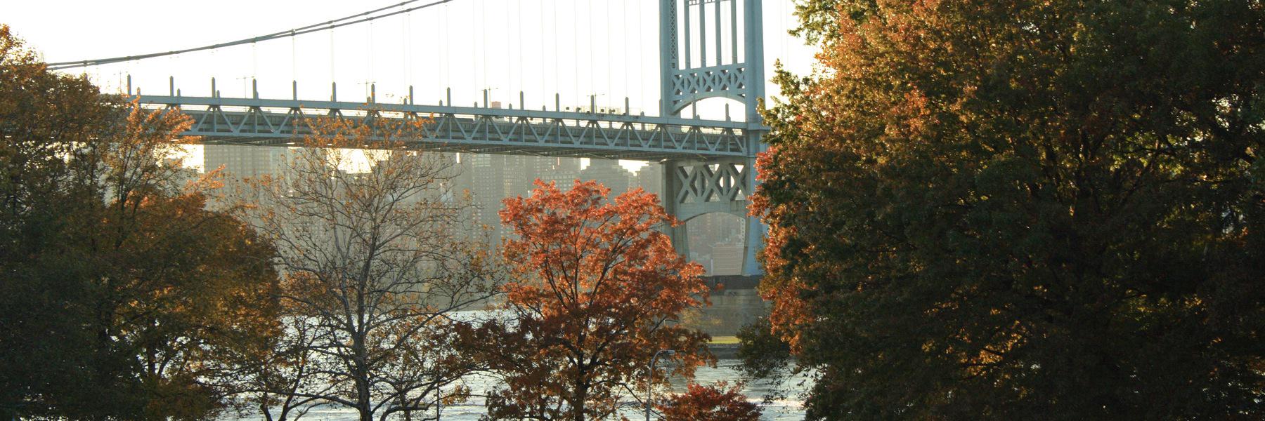 BOAST: Best of Astoria & LIC banner
