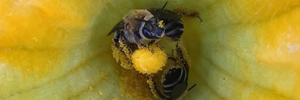 mmlopezu Profile Banner