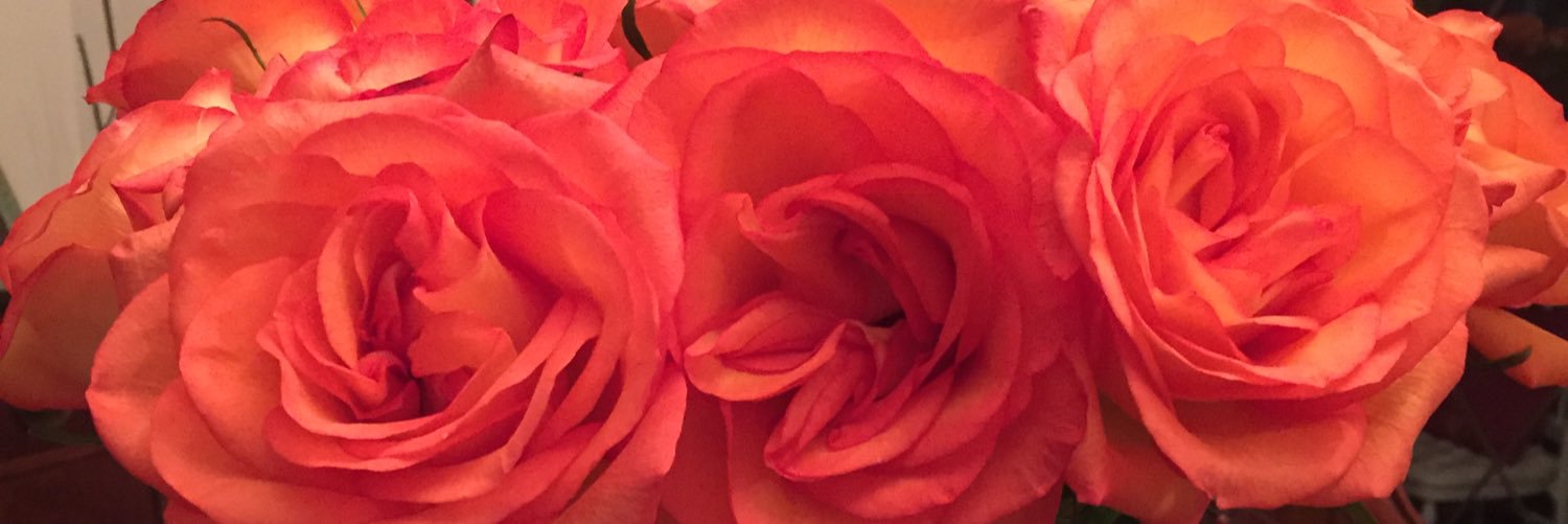 PaolaBasail's profile banner image