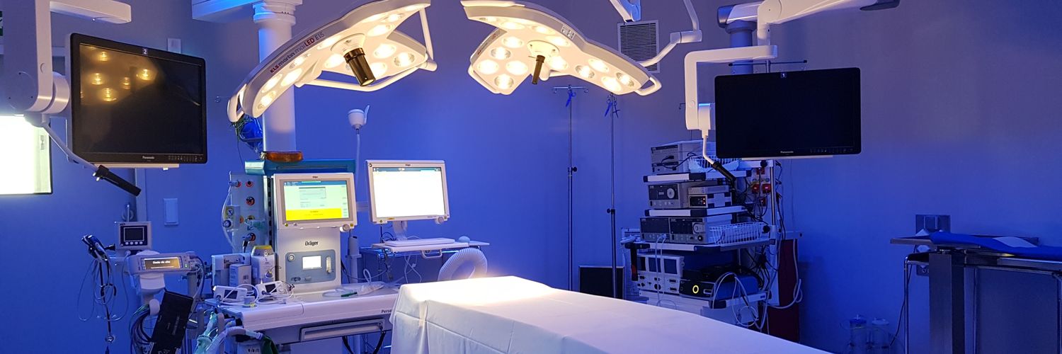 Lorena Sanchon banner