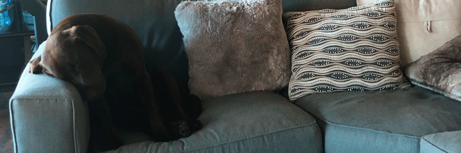 slimkailz's profile banner image
