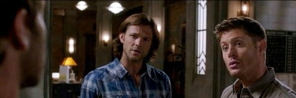SPNTeddyBear's profile banner image
