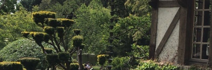 LbtAndrea's profile banner image