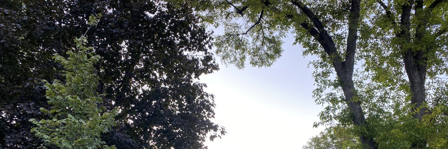 Morgan Kavanaugh 🦅 banner