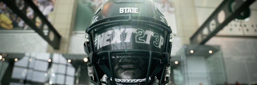 Michigan State Designs banner