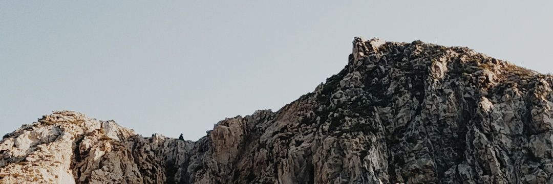 vfbarefoot's profile banner image