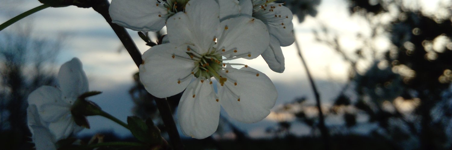 Iamjules__'s profile banner image