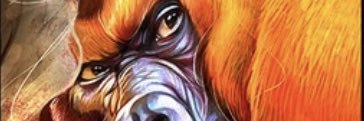 TommyBell4's profile banner image