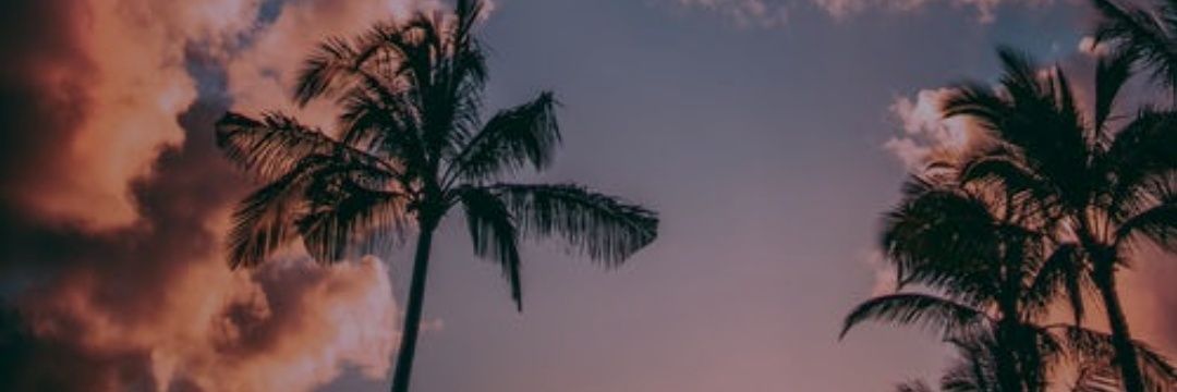 dgaluciaa's profile banner image