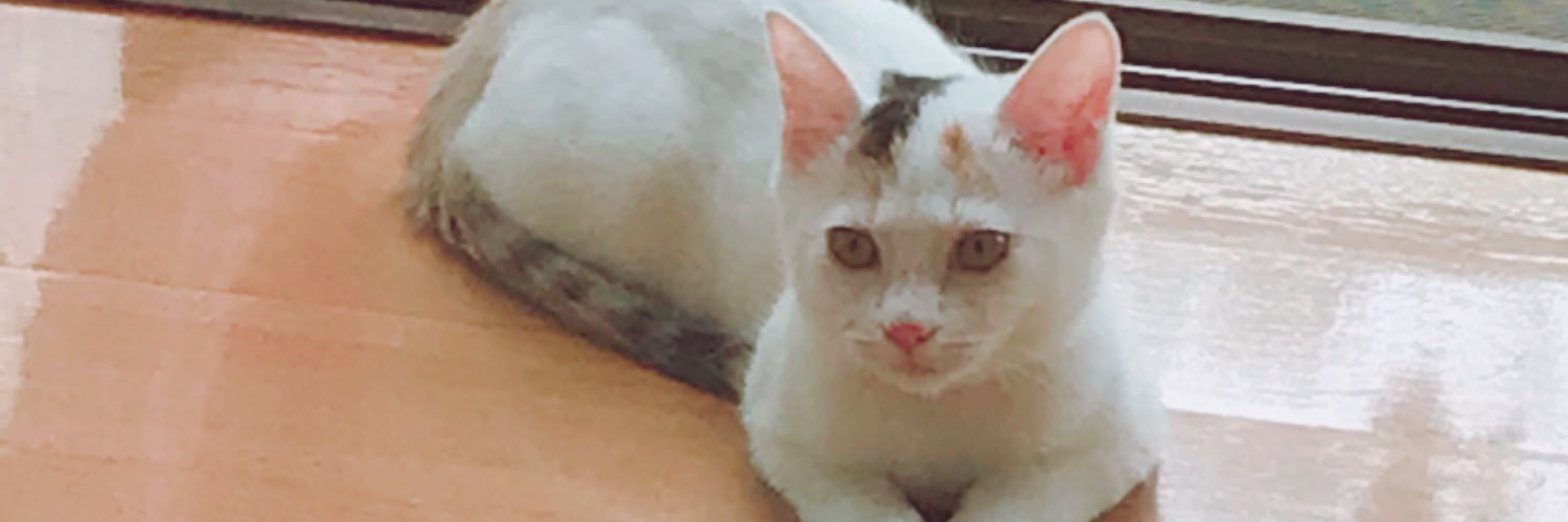 ArkReiko's profile banner image