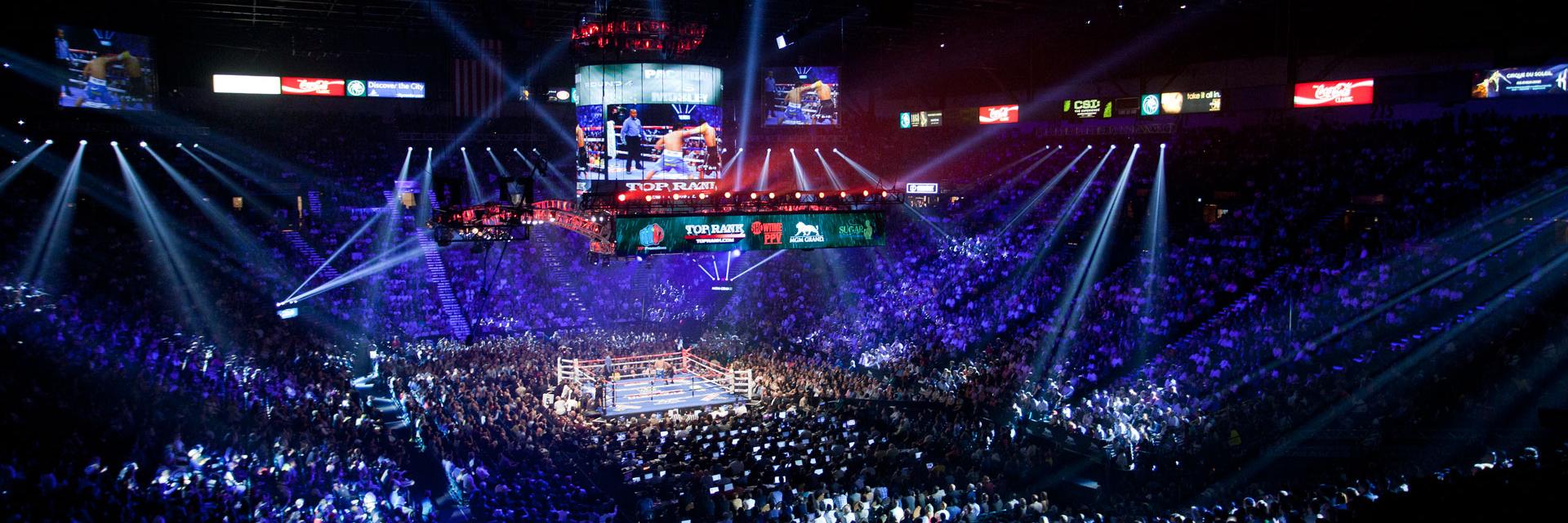 winningboxing's profile banner image
