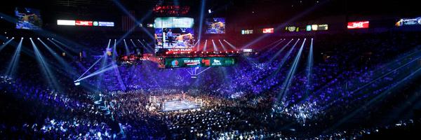 winningboxing Profile Banner