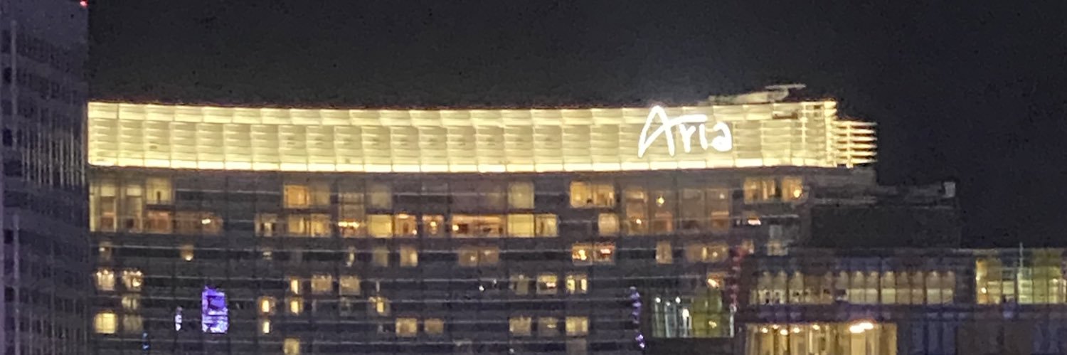 ariaBeee's profile banner image
