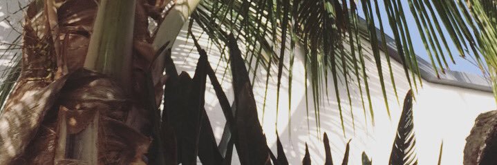 anaisdrdc's profile banner image