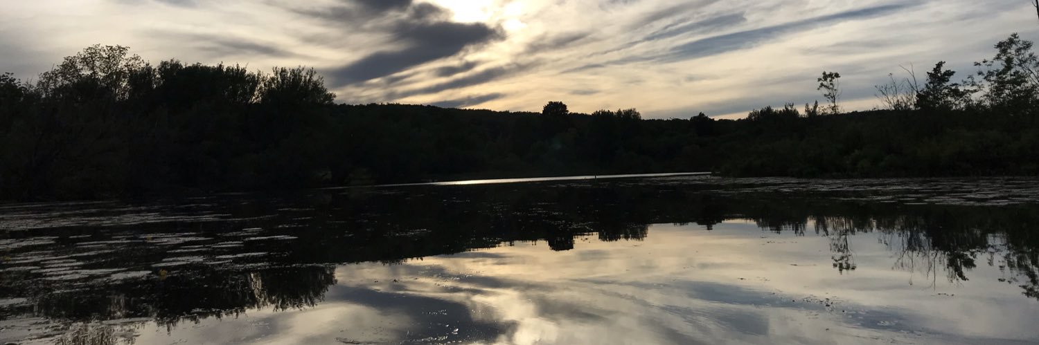 MandiStroyer's profile banner image