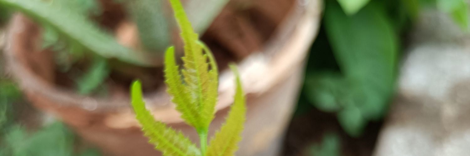 d59503876's profile banner image
