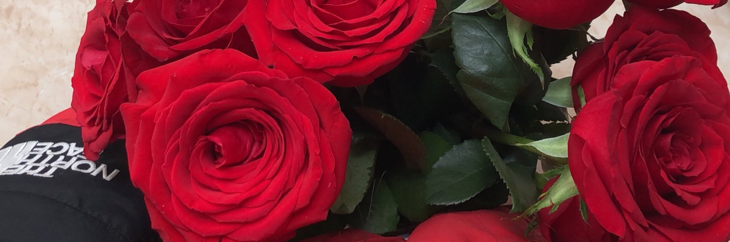 johanalatorrer's profile banner image