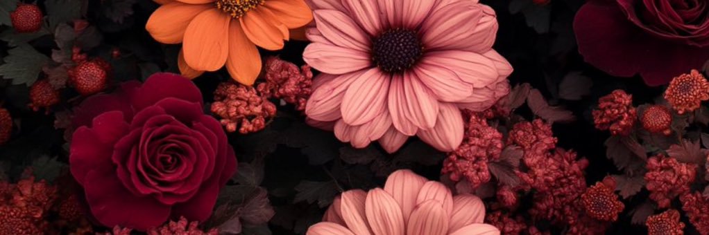 Lovveelee's profile banner image