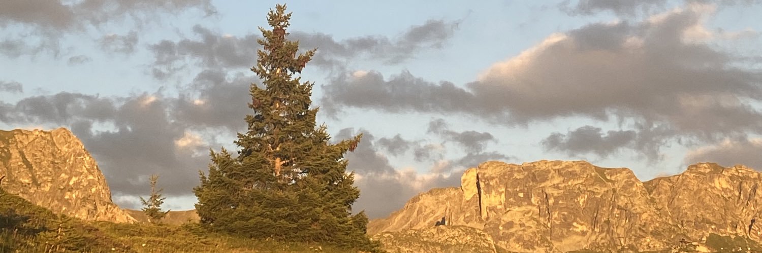Vi14_'s profile banner image