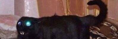 HortenseBarrel's profile banner image