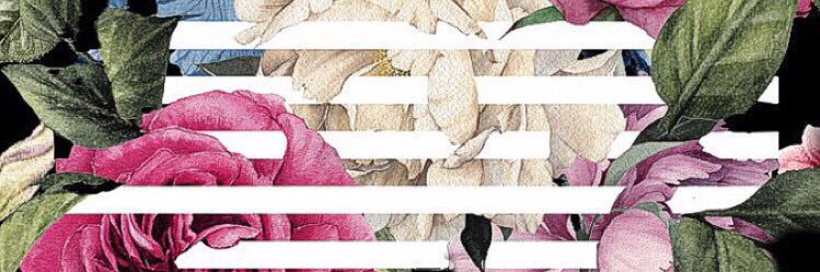 chnu_chih's profile banner image