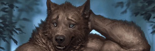 Gib banner