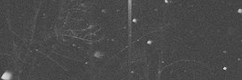 Aidan Mathis banner