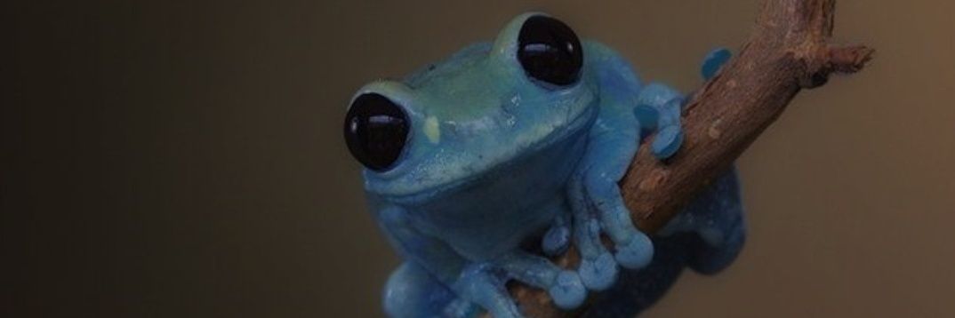 Jolatine_'s profile banner image