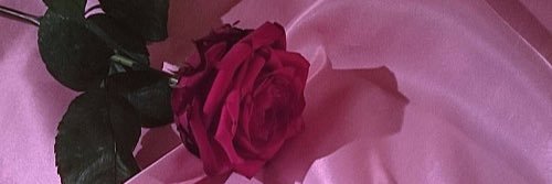 取引 banner