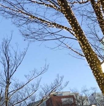 bealopez1's profile banner image