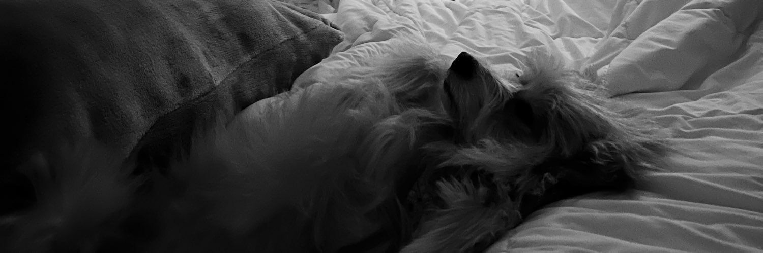 vittototo's profile banner image