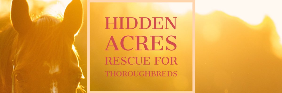 HARTforHORSES's profile banner image
