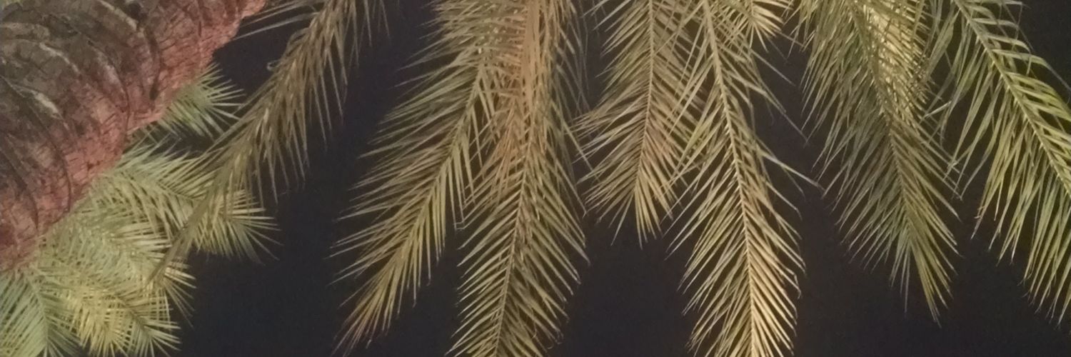 ashree1504's profile banner image