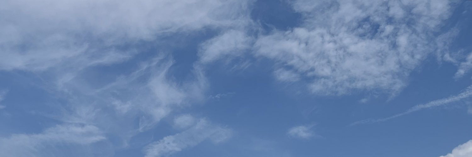 v6snimmo1995's profile banner image