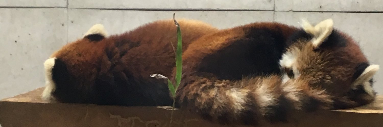 putarou10271224's profile banner image