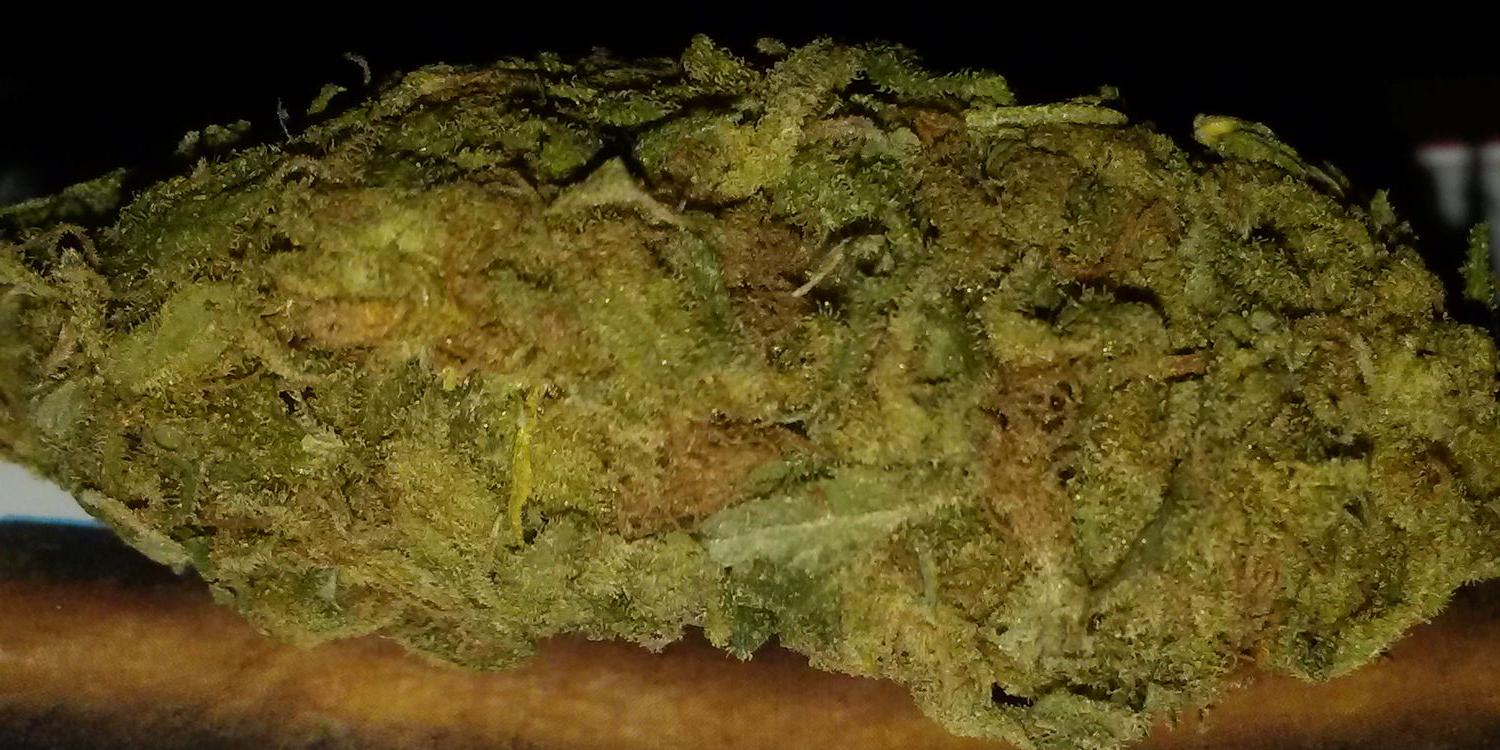 roger420that's profile banner image