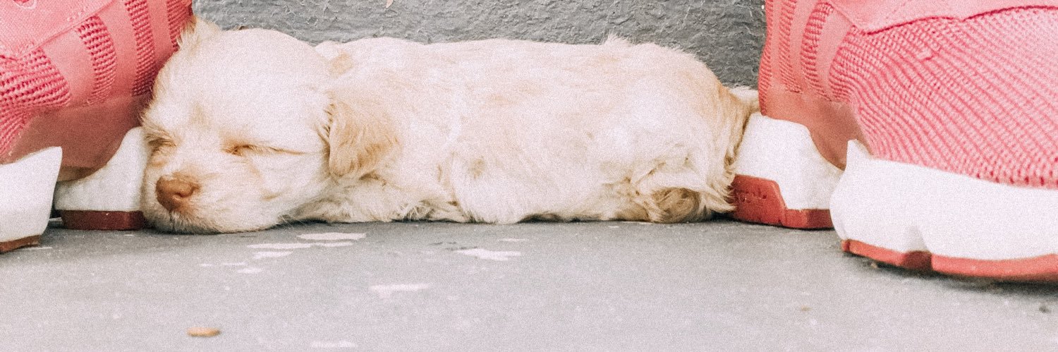 clairedbowen's profile banner image