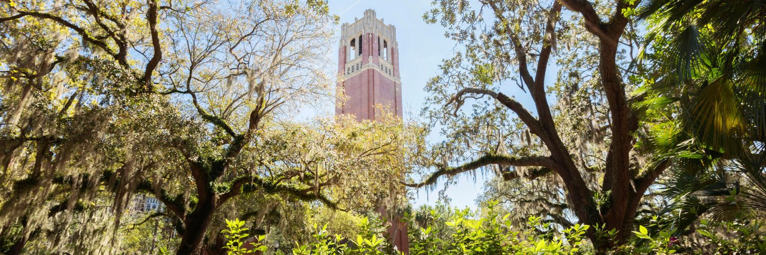 Anne4Gators's profile banner image