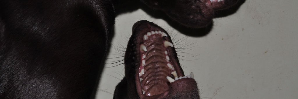 maybrugeff's profile banner image