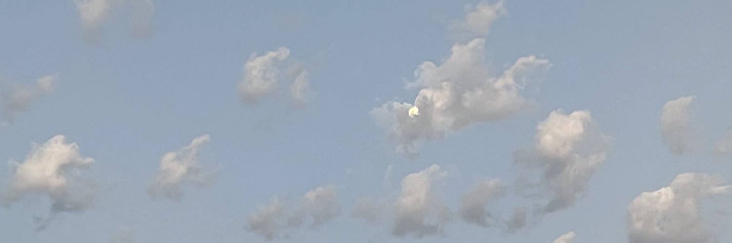 feralpositions's profile banner image