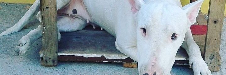 Trejo__'s profile banner image