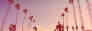Amanda Moraes banner
